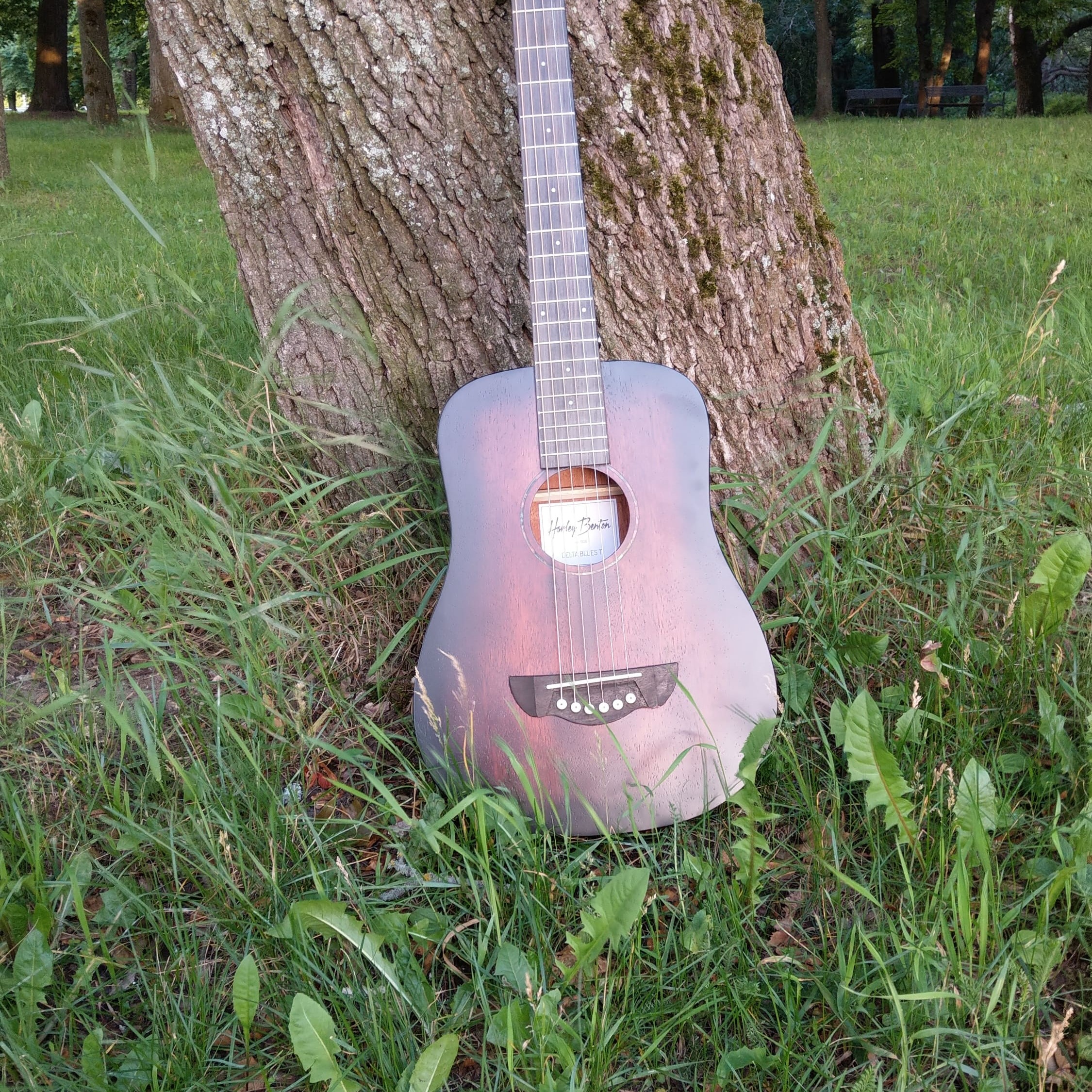 Homesick Vagabond